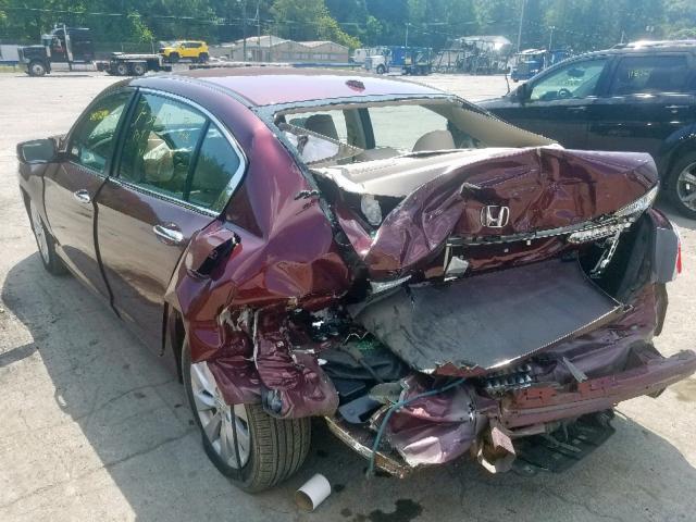 1HGCR2F81EA199283 - 2014 HONDA ACCORD EXL BURGUNDY photo 3