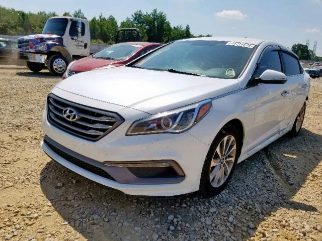 5NPE34AF7FH071070 - 2015 HYUNDAI SONATA SPO WHITE photo 2