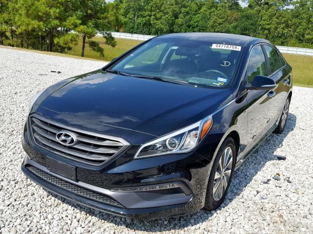 5NPE34AF9GH297161 - 2016 HYUNDAI SONATA SPO BLACK photo 2