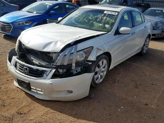 1HGCP36809A003531 - 2009 HONDA ACCORD EXL WHITE photo 2