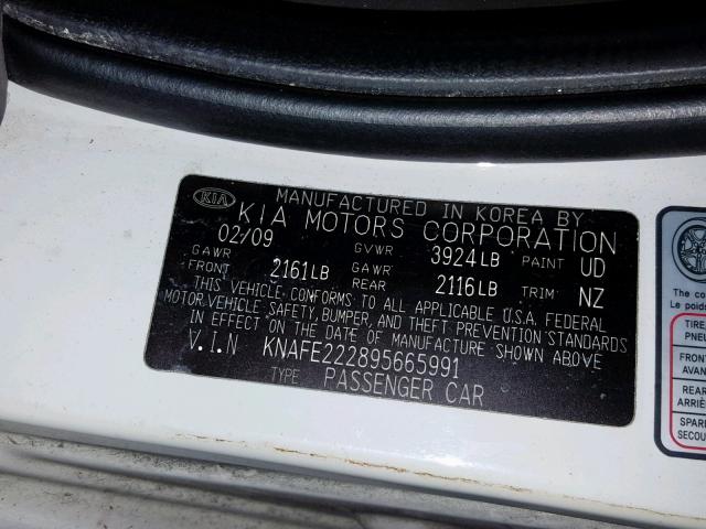 KNAFE222895665991 - 2009 KIA SPECTRA EX WHITE photo 10