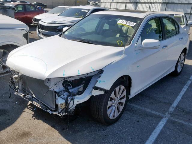 1HGCR2F85FA066365 - 2015 HONDA ACCORD EXL WHITE photo 2