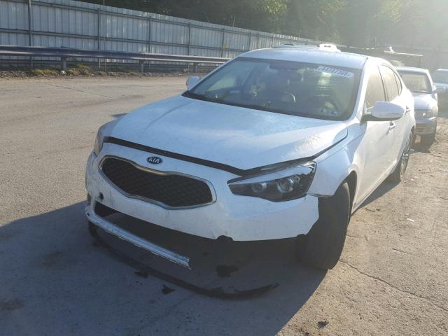 KNALN4D70E5132731 - 2014 KIA CADENZA PR WHITE photo 2