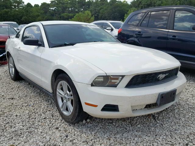 1ZVBP8AN1A5150150 - 2010 FORD MUSTANG WHITE photo 1