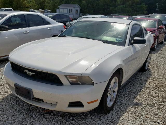 1ZVBP8AN1A5150150 - 2010 FORD MUSTANG WHITE photo 2