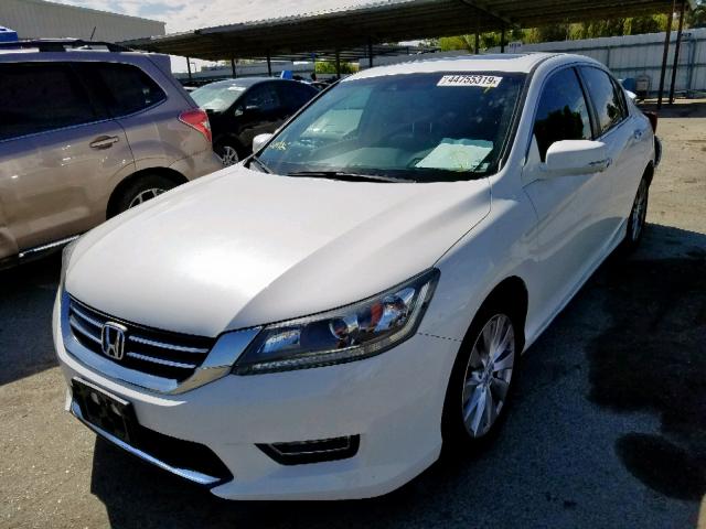 1HGCR2F89DA238149 - 2013 HONDA ACCORD EXL WHITE photo 2