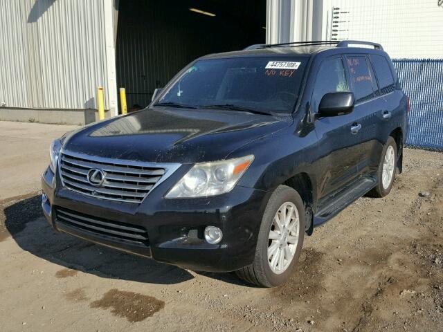 JTJHY00W294029454 - 2009 LEXUS LX 570 BLACK photo 2