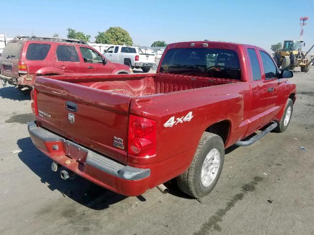 1D7HW42P97S103716 - 2007 DODGE DAKOTA SLT RED photo 4