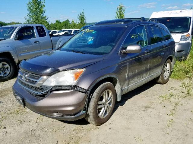 5J6RE4H76BL001523 - 2011 HONDA CR-V EXL TAN photo 2