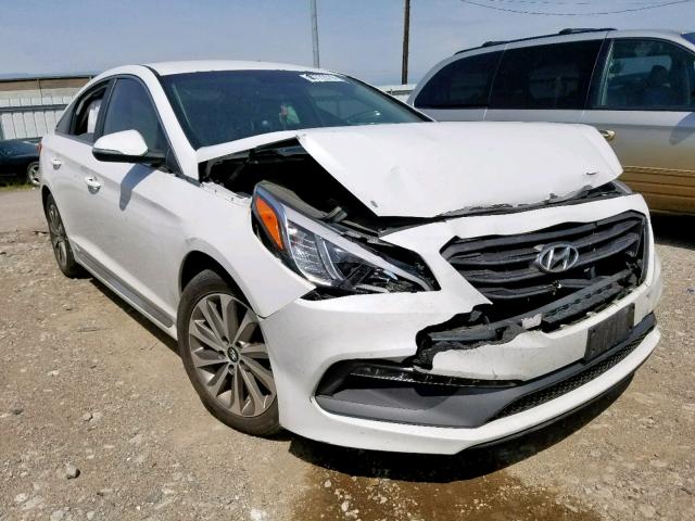 5NPE34AF2FH061529 - 2015 HYUNDAI SONATA SPO WHITE photo 1