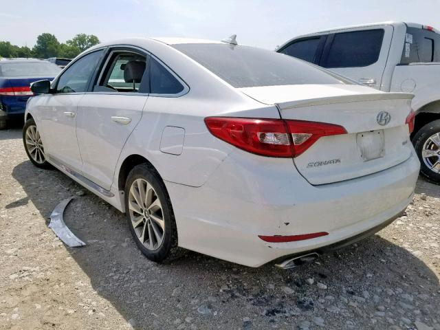 5NPE34AF2FH061529 - 2015 HYUNDAI SONATA SPO WHITE photo 3