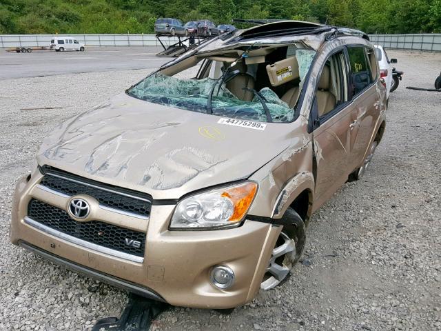 JTMDK4DV1AD014847 - 2010 TOYOTA RAV4 LIMIT GOLD photo 2