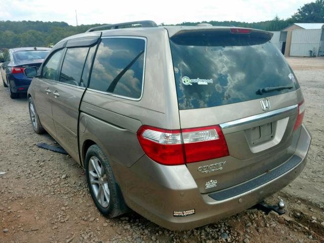 5FNRL38876B004387 - 2006 HONDA ODYSSEY TO GOLD photo 3