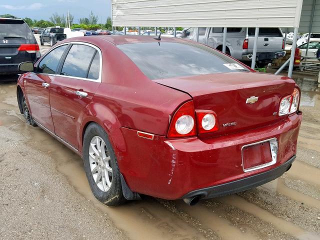 1G1ZK57768F172262 - 2008 CHEVROLET MALIBU LTZ მუქწითელი ფოტო 3