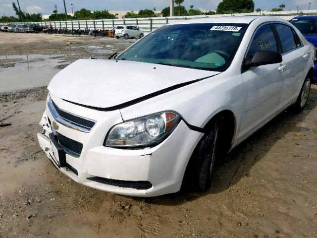 1G1ZA5E07CF398859 - 2012 CHEVROLET MALIBU LS WHITE photo 2