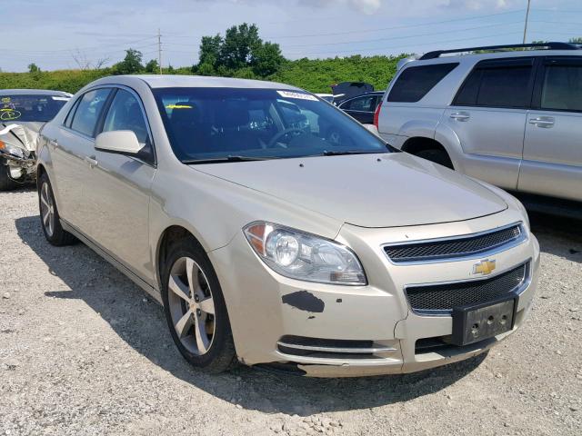 1G1ZC5EU9BF122730 - 2011 CHEVROLET MALIBU 1LT 金色 照片 1