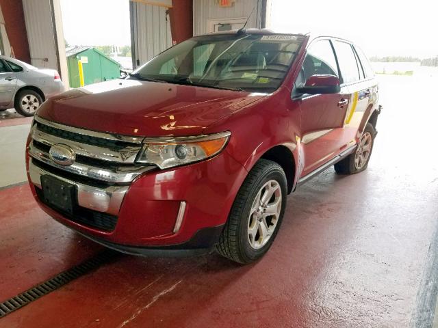 2FMDK4JC7DBC80771 - 2013 FORD EDGE SEL RED photo 2