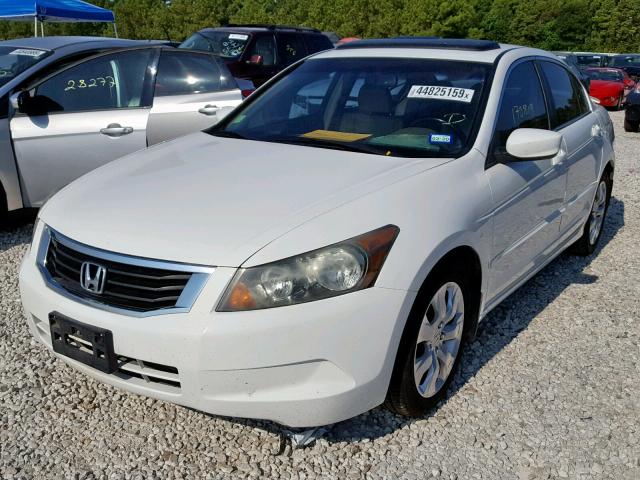 1HGCP26859A035644 - 2009 HONDA ACCORD EXL WHITE photo 2