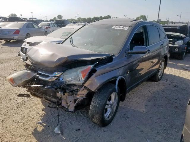 5J6RE4H78AL052844 - 2010 HONDA CR-V EXL GOLD photo 2