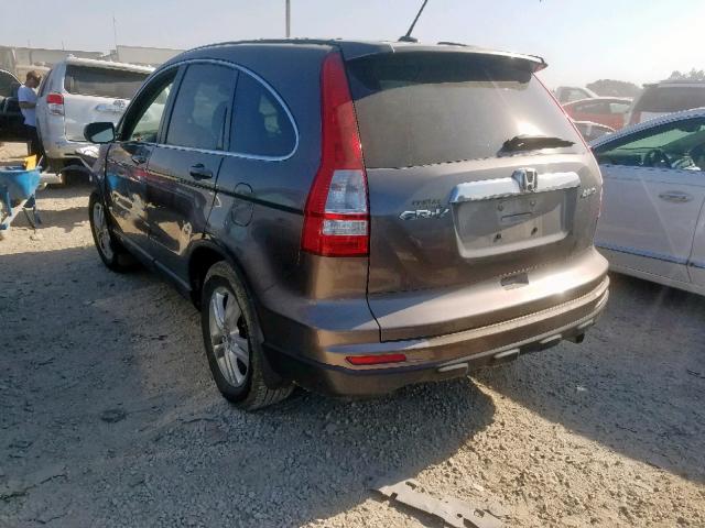 5J6RE4H78AL052844 - 2010 HONDA CR-V EXL GOLD photo 3