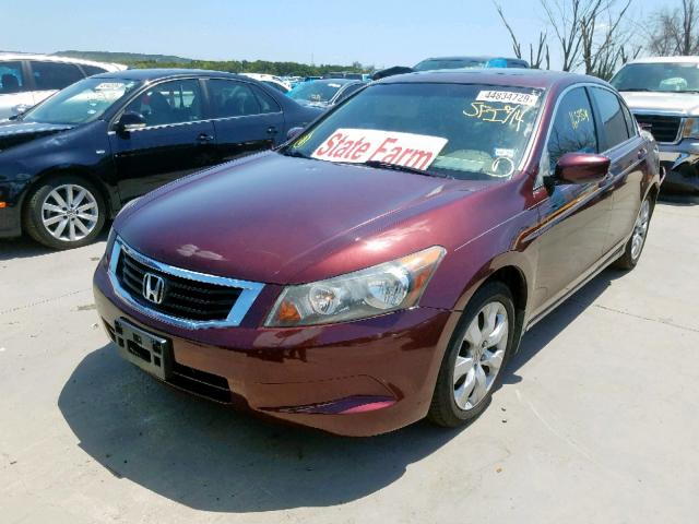 JHMCP26888C051613 - 2008 HONDA ACCORD EXL BURGUNDY photo 2