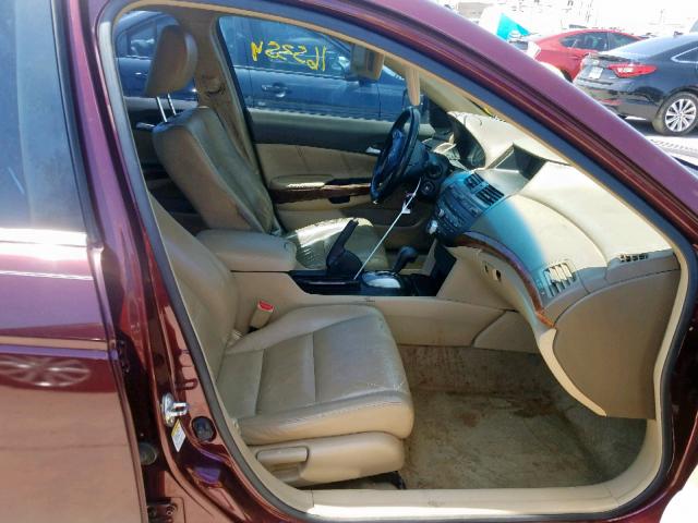 JHMCP26888C051613 - 2008 HONDA ACCORD EXL BURGUNDY photo 5