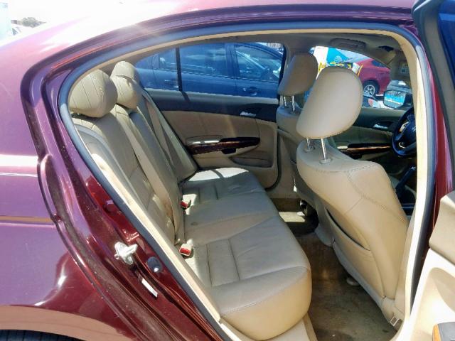 JHMCP26888C051613 - 2008 HONDA ACCORD EXL BURGUNDY photo 6