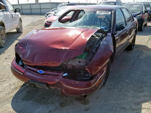 2G1WL52M5T9132284 - 1996 CHEVROLET LUMINA MAROON photo 2