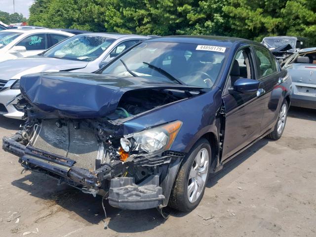 5KBCP3F8XAB006822 - 2010 HONDA ACCORD EXL BLUE photo 2