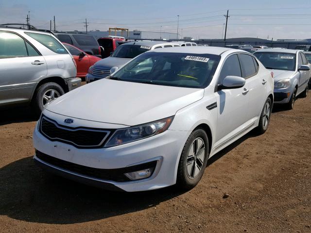 KNAGM4ADXB5006564 - 2011 KIA OPTIMA HYB WHITE photo 2