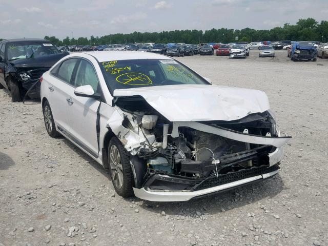 5NPE34AF0FH134526 - 2015 HYUNDAI SONATA SPO WHITE photo 1