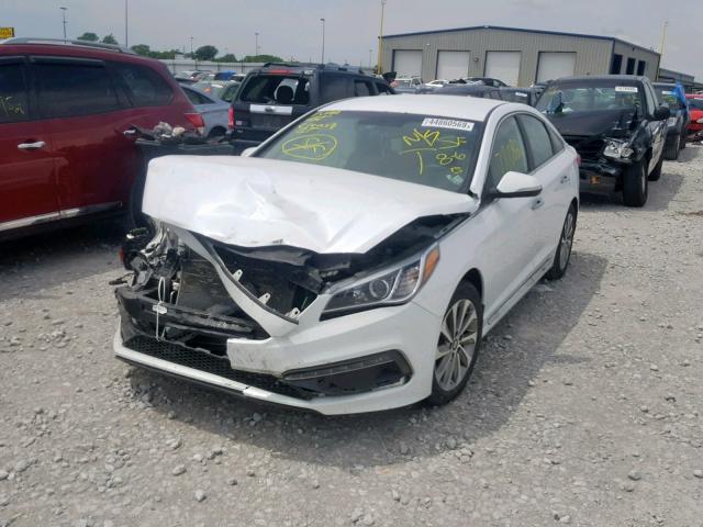 5NPE34AF0FH134526 - 2015 HYUNDAI SONATA SPO WHITE photo 2