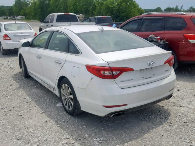 5NPE34AF0FH134526 - 2015 HYUNDAI SONATA SPO WHITE photo 3