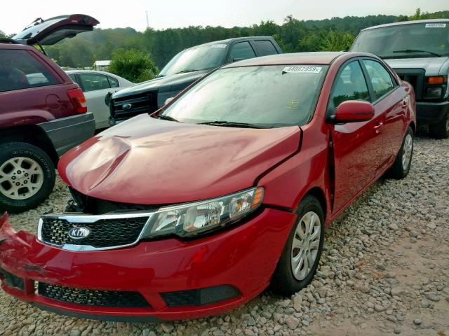 KNAFU4A29D5695171 - 2013 KIA FORTE EX RED photo 2