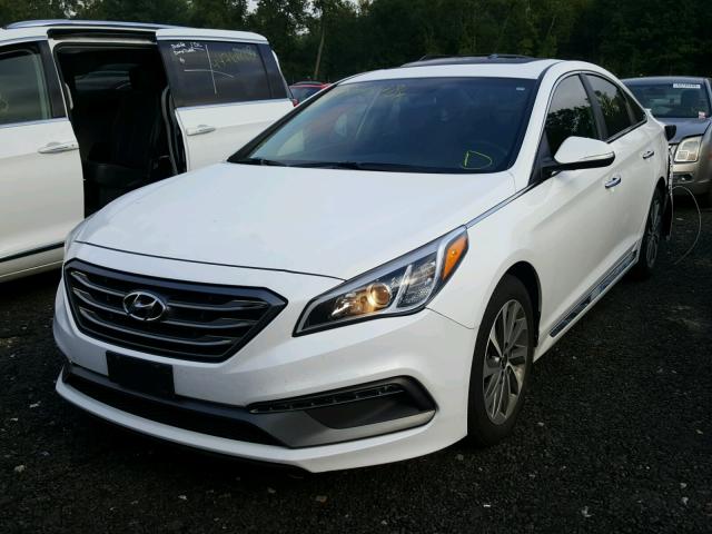 5NPE34AF4FH093706 - 2015 HYUNDAI SONATA SPO WHITE photo 2