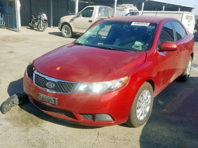 KNAFU4A29B5402205 - 2011 KIA FORTE EX RED photo 2