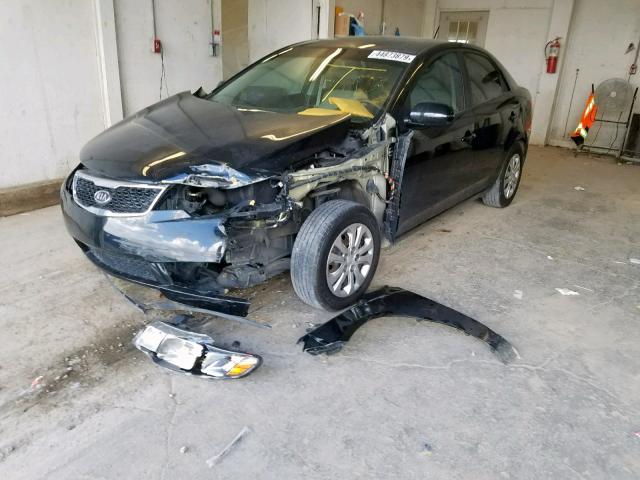 KNAFU4A27D5684802 - 2013 KIA FORTE EX BLACK photo 2