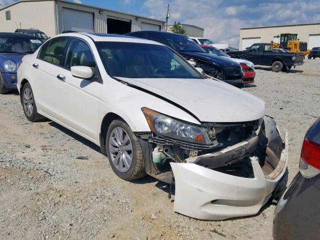 5KBCP3F89BB003900 - 2011 HONDA ACCORD EXL WHITE photo 1