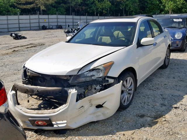 5KBCP3F89BB003900 - 2011 HONDA ACCORD EXL WHITE photo 2