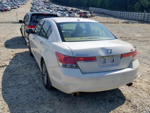 5KBCP3F89BB003900 - 2011 HONDA ACCORD EXL WHITE photo 3