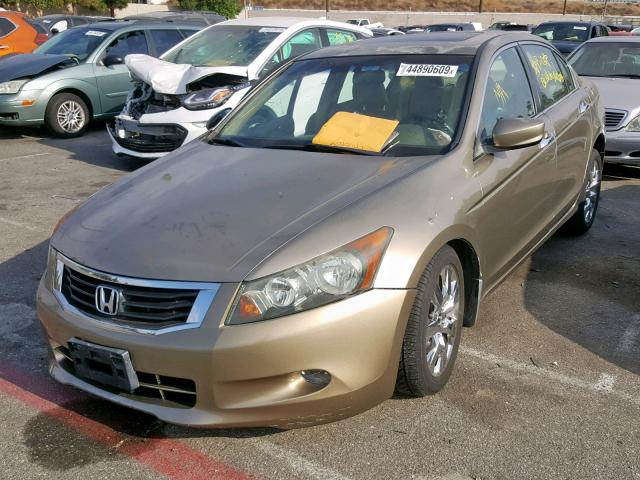 1HGCP36898A062995 - 2008 HONDA ACCORD EXL GOLD photo 2