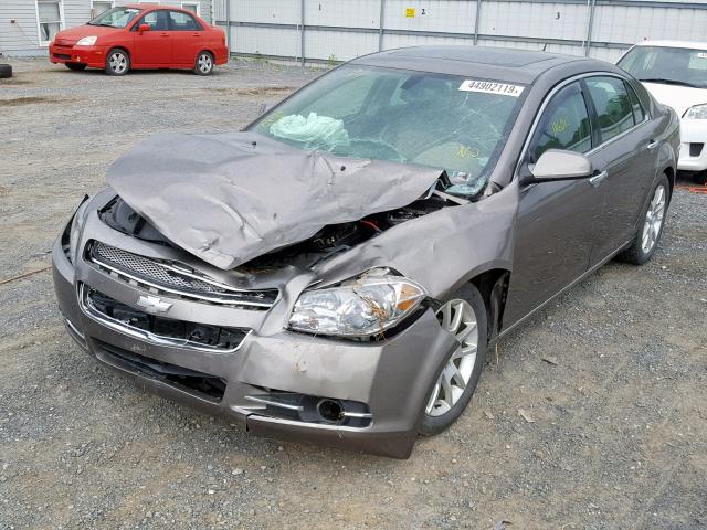 1G1ZE5E18BF390541 - 2011 CHEVROLET MALIBU LTZ ყავისფერი ფოტო 2