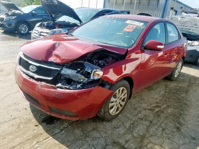 KNAFU4A20A5863632 - 2010 KIA FORTE EX RED photo 2