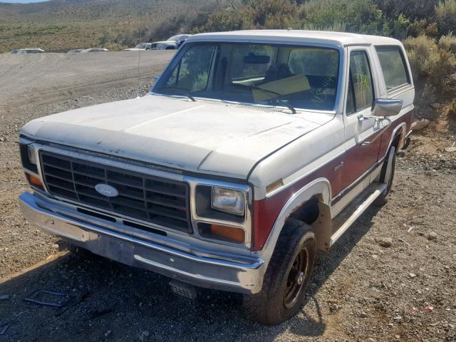 1FMEU15Y5DLA77445 - 1983 FORD BRONCO U10 MAROON photo 2