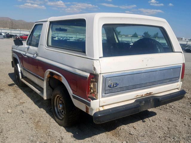 1FMEU15Y5DLA77445 - 1983 FORD BRONCO U10 MAROON photo 3