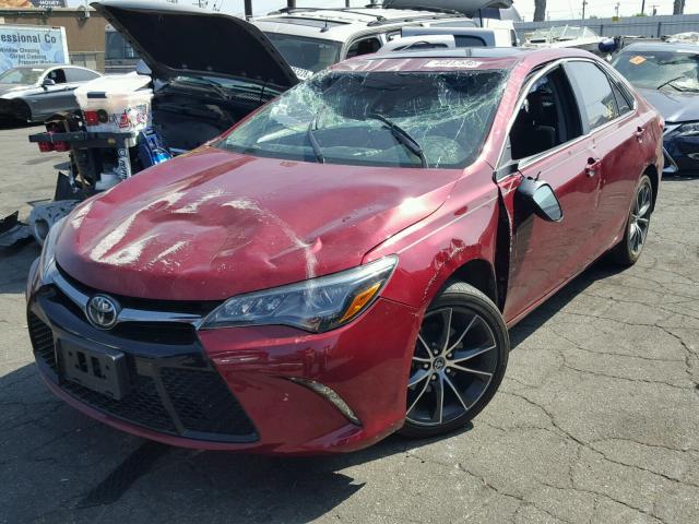 4T1BK1FK6FU563083 - 2015 TOYOTA CAMRY XSE RED photo 2