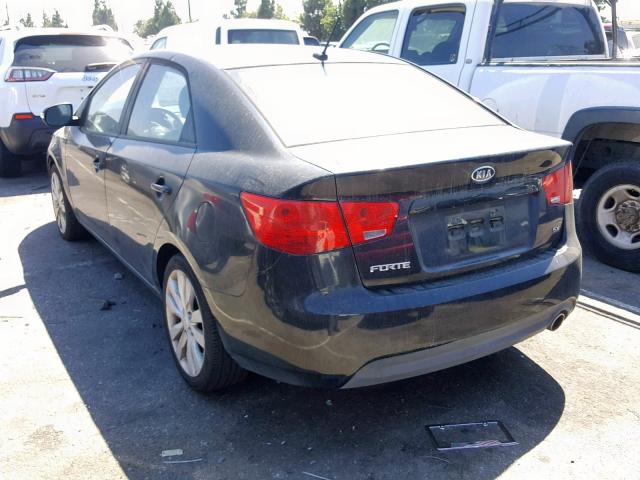 KNAFW4A34A5048983 - 2010 KIA FORTE SX BLACK photo 3