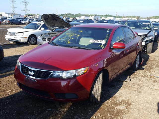 KNAFU4A20B5436680 - 2011 KIA FORTE EX RED photo 2