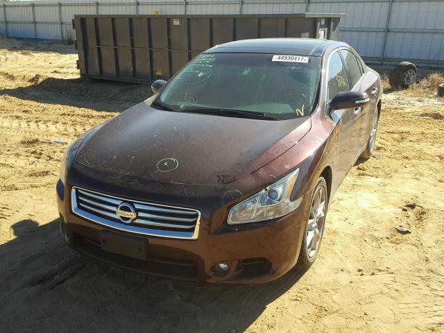 1N4AA5AP8EC497191 - 2014 NISSAN MAXIMA S RED photo 2