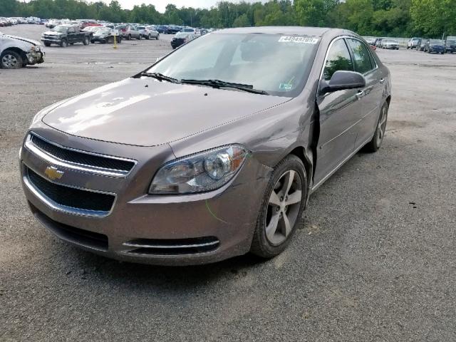 1G1ZC5E03CF208243 - 2012 CHEVROLET MALIBU 1LT 金色 照片 2